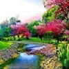 مستخدم مجهول