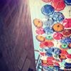 profile/مرح-خليل