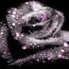 https://cdn.ujeeb.com/users/100*100/O442iFxrRQNfpdyYXAWVdkTsUUZhivde.jpg