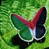 https://cdn.ujeeb.com/users/100*100/OUYh7DTRfiUBlf0a8Q9kLkSbezFOf0cB.jpg