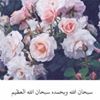 profile/سماح-ديب