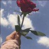 profile/اميرة-12