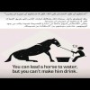 مستخدم مجهول