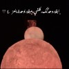 profile/نورهان-19