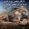 profile/سفيان-الجزائري