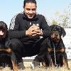profile/مدرب-كلاب-بالهرم-وائل