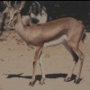 profile/الريم
