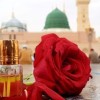 profile/إيناس-أبو-قضامة