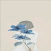 profile/كوثر-نشمي