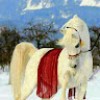 مستخدم مجهول