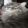 profile/جودي-عيسى