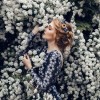 profile/داره-خالد