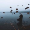 profile/إيمان-جمال