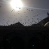 profile/ميرال-أم-ريان