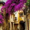 profile/هدي-رمزي