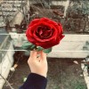 profile/ايه-ابراهيم-حيح