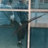 profile/اروى-عبدالباسط