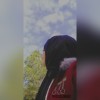 مستخدم مجهول