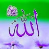 https://cdn.ujeeb.com/users/100*100/UTscL8F9YUKnD816UnkVEanyS7i6pgAw.jpg