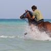 profile/khaled-mohamed-4