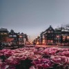 profile/لينا-ج