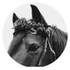 profile/رزان-أبو-حويج