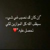 profile/تسنيم-28