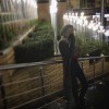 profile/سلسبيل-عويمر