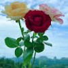 https://cdn.ujeeb.com/users/100*100/WDUF47NpSpIPBLTSJeIPHZb2l7w8EaTr.jpg