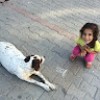 مستخدم مجهول