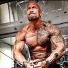 profile/هارون