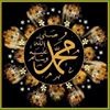profile/نورالهدي