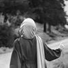 profile/حنين-ابو-صبحيه