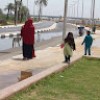 مستخدم مجهول