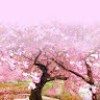 https://cdn.ujeeb.com/users/100*100/X6oiVL15xf1hHBhkQswUDaqYQTljd6lg.jpg