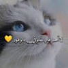 https://cdn.ujeeb.com/users/100*100/Xb1UvAisT4NB6deIN3gCanb79Iideaic.jpg