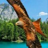 https://cdn.ujeeb.com/users/100*100/XfMYcuD6vFHMcZ6OoXUNZX5fOFPzsZij.jpg