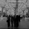 profile/أفنان-مبارك