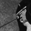 profile/يحيى-احمد-1