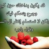 profile/رائدة-القريوتي