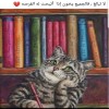 مستخدم مجهول
