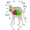 profile/ياسين