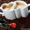 https://cdn.ujeeb.com/users/100*100/ZCktzc6stq9TcRXjPwYnY1wTw0UBbTLu.jpg