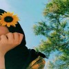 مستخدم مجهول