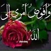 مستخدم مجهول
