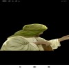 profile/عبدالله-بن-ازهر-الجشعمي