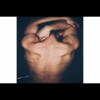 profile/امين-زبيري