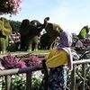 profile/بتول-الحسنات