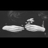 profile/نور-حمودة-محمد-عبدالرحمن