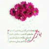 مستخدم مجهول